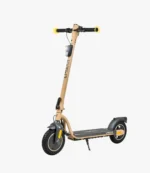 Trottinette Électrique Ecoxtrem Linear 350W